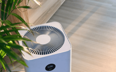 Best Smart Air Purifiers