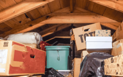 Best Attic Storage