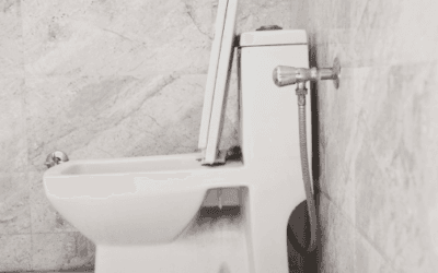 Best Back to Wall Toilets