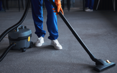 Best Canister Vacuums