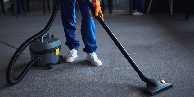 best canister vacuums