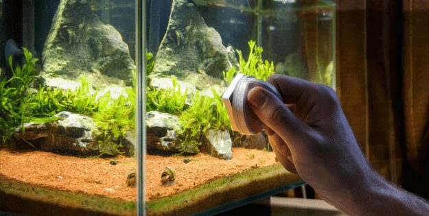 best aquarium cleaners