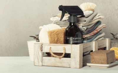 Best Biodegradable Cleaning Products