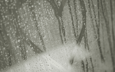 Best Bath Shower Screens