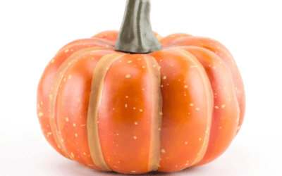 Best Artificial Pumpkins
