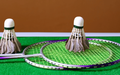 Best Badminton Sets