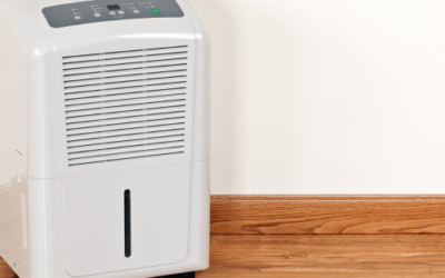 Best Basement Dehumidifiers