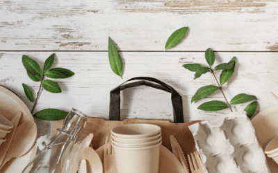 Best Biodegradable Products