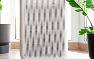 Best Office Air Purifiers