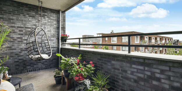 best balcony plants