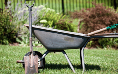 Best Border Spades for Easy Gardening 🌿🛠️✨