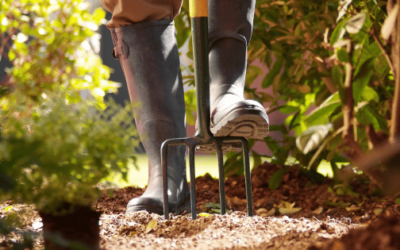 Best Digging Forks for Tough Garden Jobs 🌿🔧💪