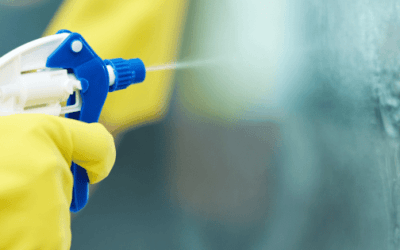 Best All-Purpose Cleaners