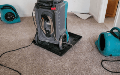 Best Air Movers