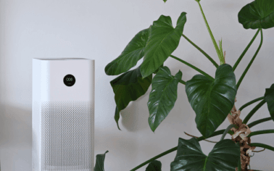 Best Air Purifier Filters