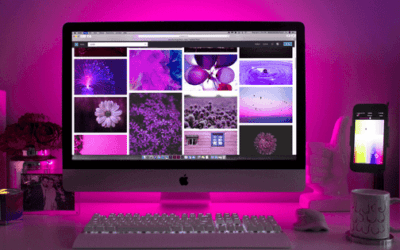 Monitors for Every Budget