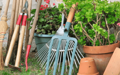 Best Gardening Tools for Every Gardener