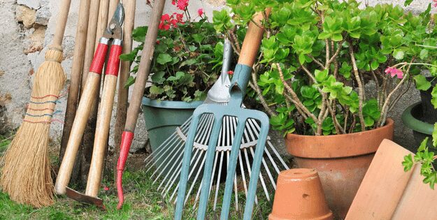Best Gardening Tools for Every Gardener