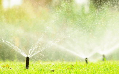 Best Irrigation Systems for Effortless Gardening