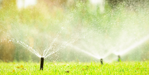 Best Irrigation Systems for Effortless Gardening