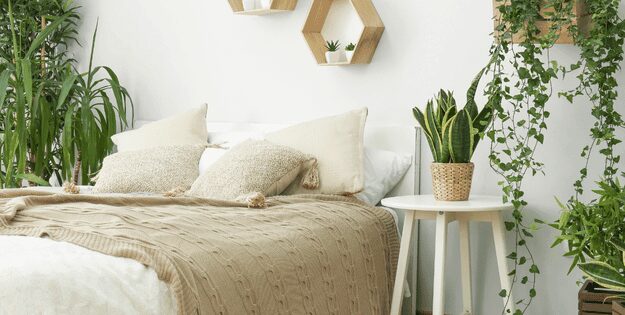 Best Bedroom Essentials