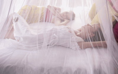 Best Bed Nets for a Comfortable, Bug-Free Sleep