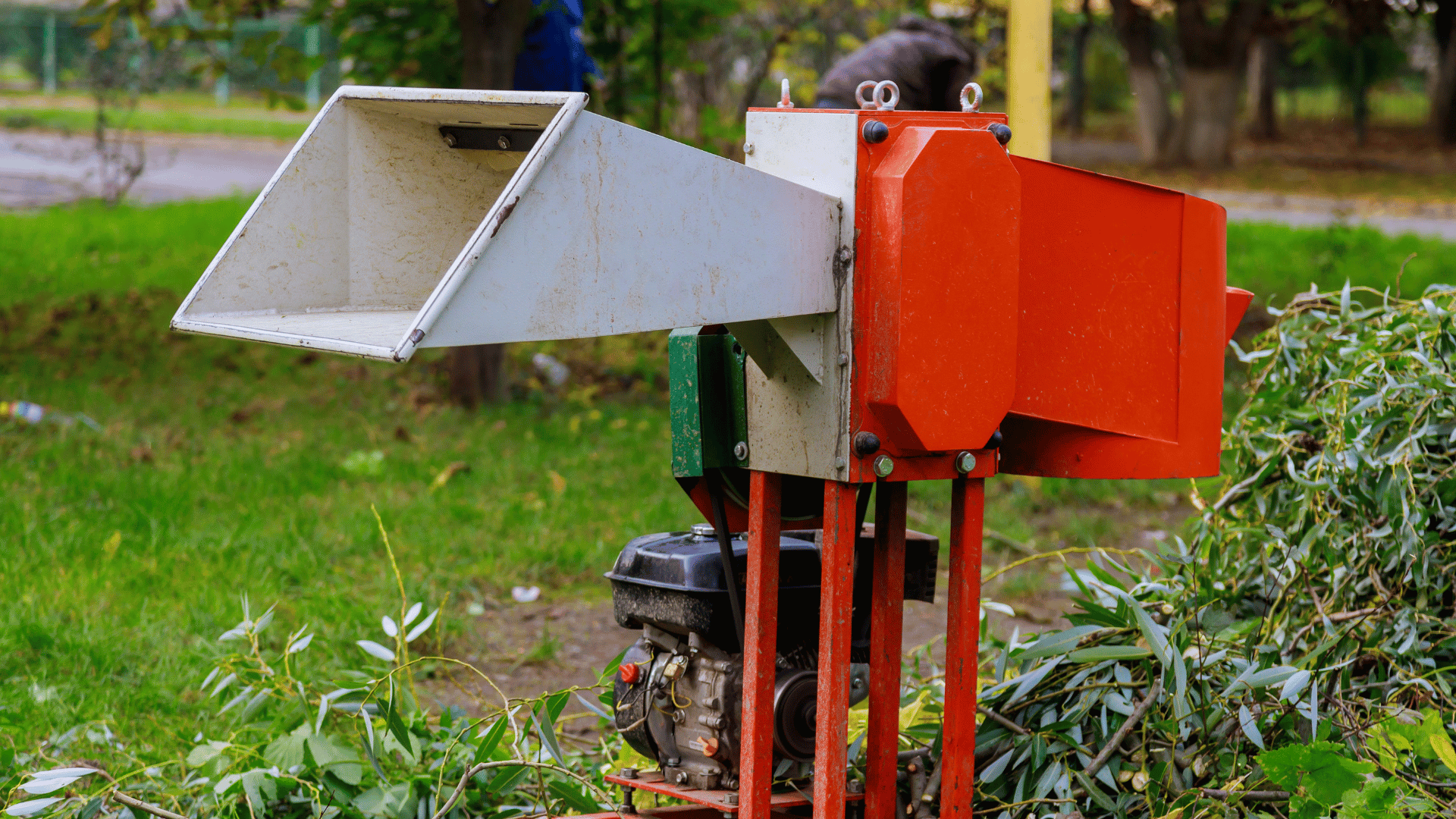 Gas-powered wood chipper with a red and white metal housing set up outdoors, surrounded by trimmed branches and green foliage on a grassy surface.