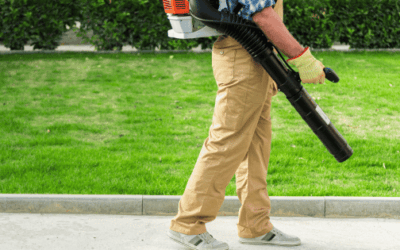 Best Backpack Leaf Blowers