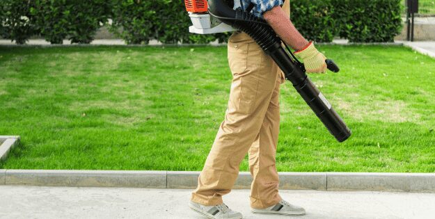 Best Backpack Leaf Blowers