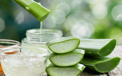 Best Aloe Vera Gels