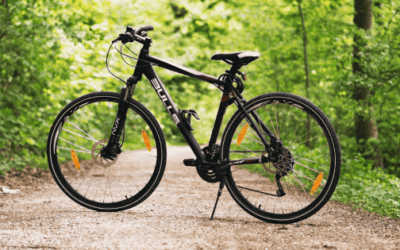 Best Road Bikes