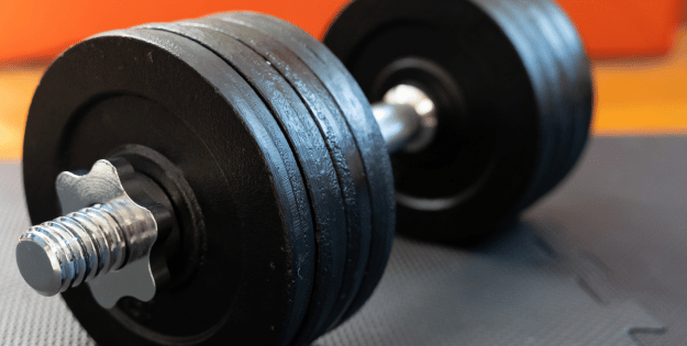 best adjustable dumbbells