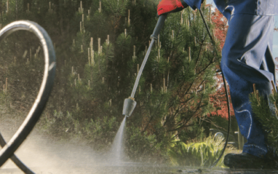 Best Battery Powered Garden Sprayers