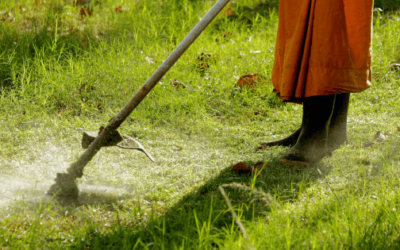 Best Brush Cutters for Tackling Tough Overgrowth 🌾🔧💪