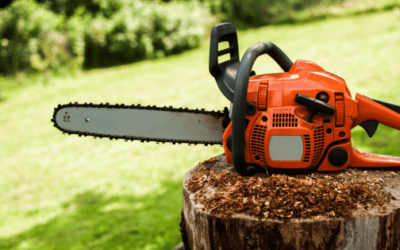 Best Chainsaws