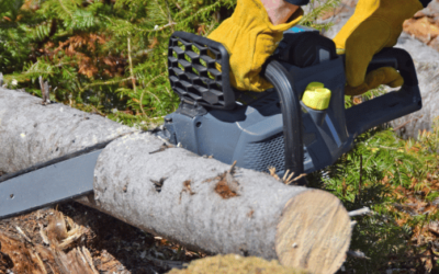 Best Cordless Chainsaws