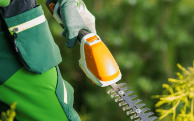 Best Cordless Hedge Trimmers for Effortless Garden Care 🌳✂️🔋