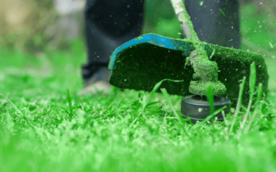 Best Cordless Lawn Edgers for a Perfectly Manicured Yard 🌿✂️🔋