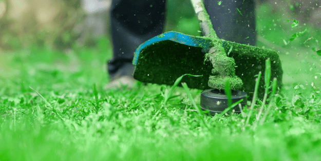 best cordless lawn edgers