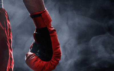 Best Boxing Products