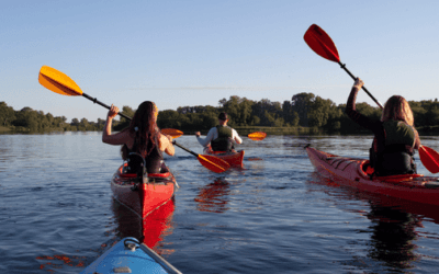 Best Canoeing Products