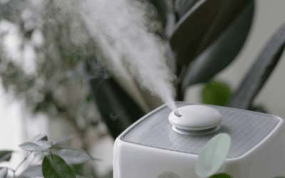 Black Friday Air Purifier Deals