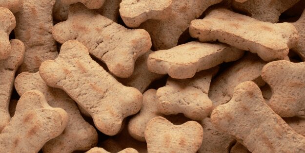 Best Dog Treats
