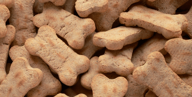 Best Dog Treats