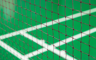 Best Badminton Nets