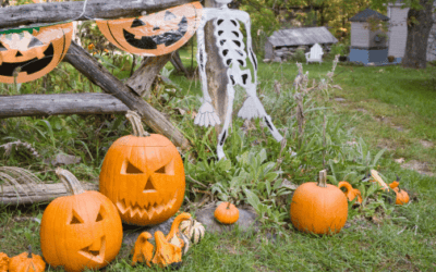 Best Halloween Yard Decorations