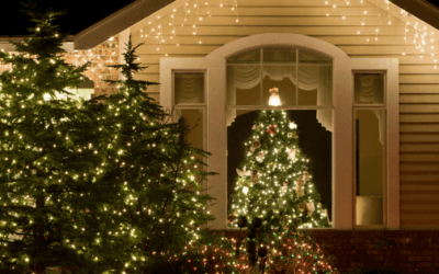 Best Outdoor Christmas Lights