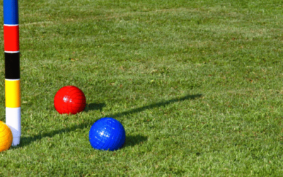 Best Croquet Sets for Fun-Filled Outdoor Games 🎯🏏🌳