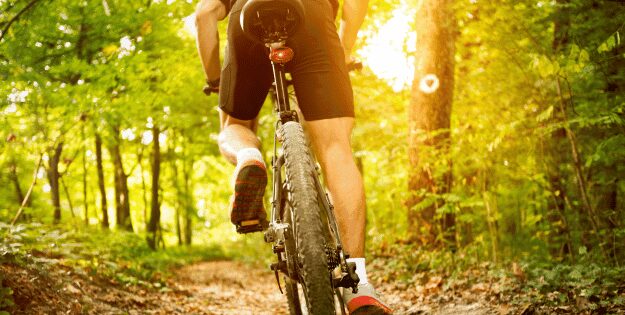 Best Bike Saddles for Comfort and Long Rides