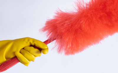 Best Feather Dusters